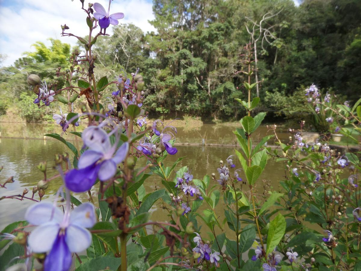 Fazenda Cabral Sao Lourenco (Minas Gerais)