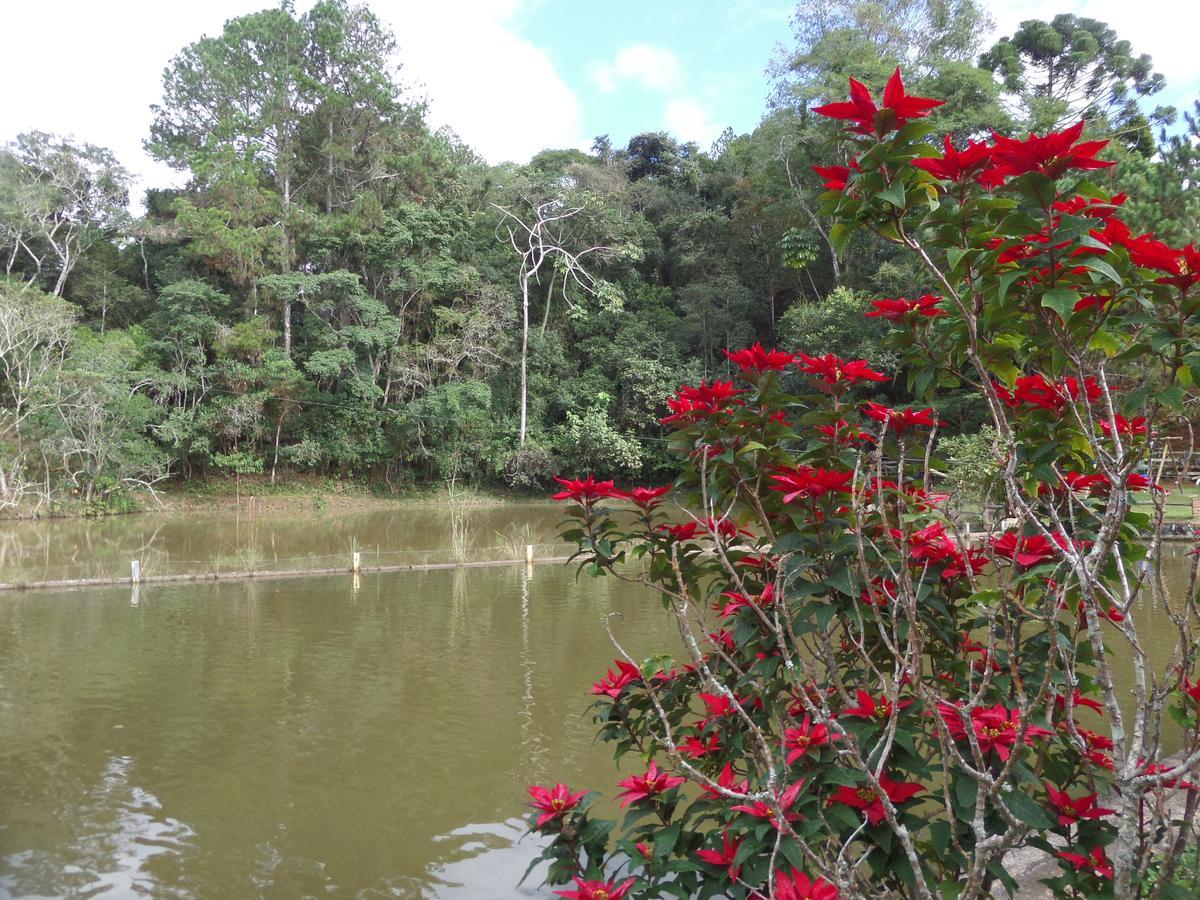 Fazenda Cabral Sao Lourenco (Minas Gerais)
